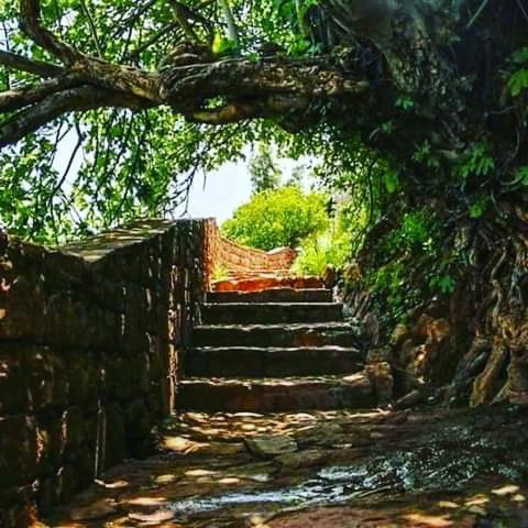 Bed and Breakfast Le Petit Jardin Demnate Exterior foto